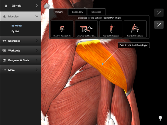 Imuscle 2 mac free download 7 0